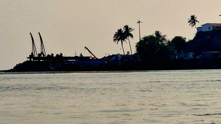 20250309_171149.jpg