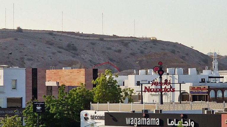 20250410_070438.jpg