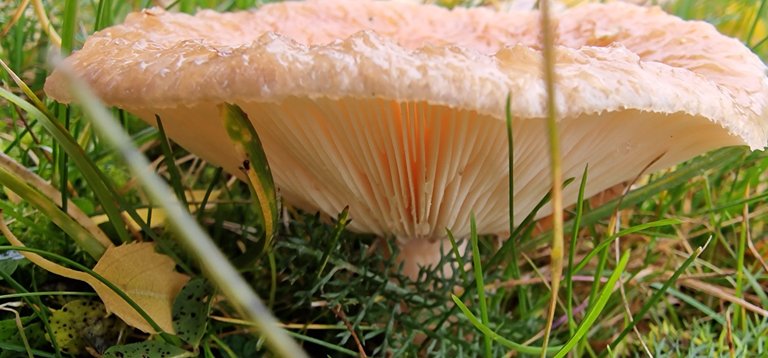 20220927_143229.jpg