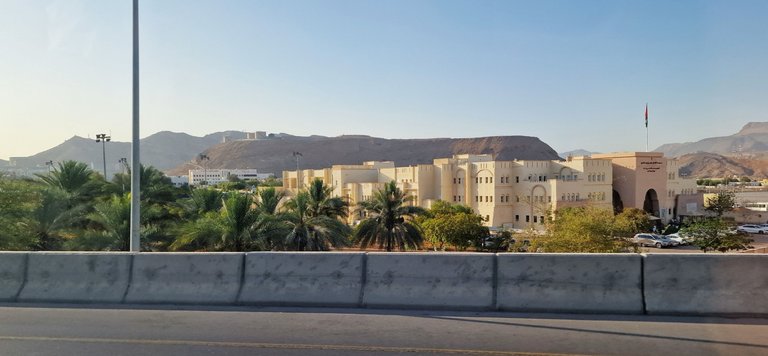 20250410_070554.jpg
