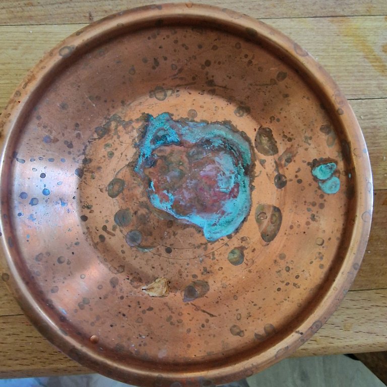 20250526_142958.jpg