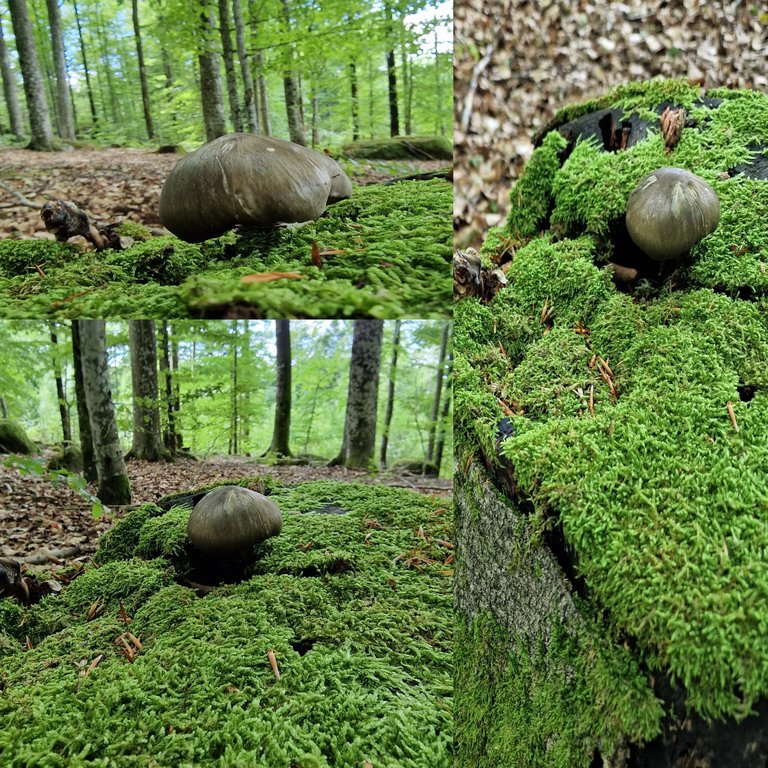 m2.jpg