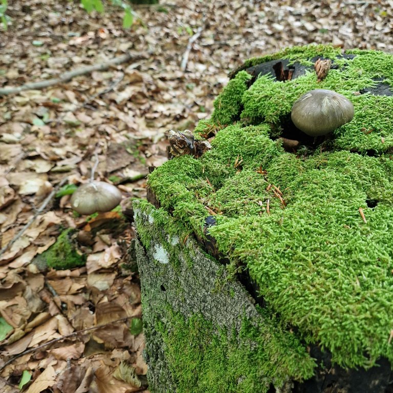 20230718_144723.jpg