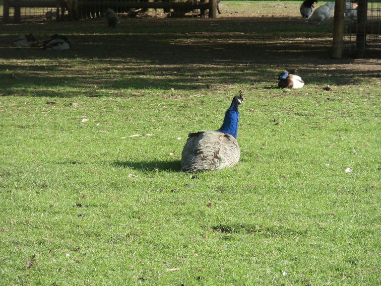DSC02961.JPG