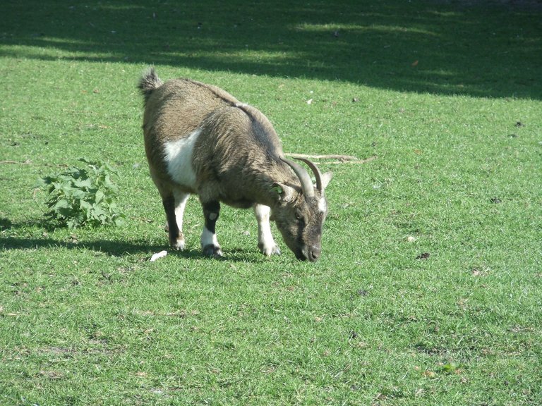 DSC02960.JPG