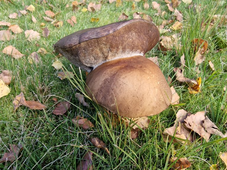 20220917_163636.jpg