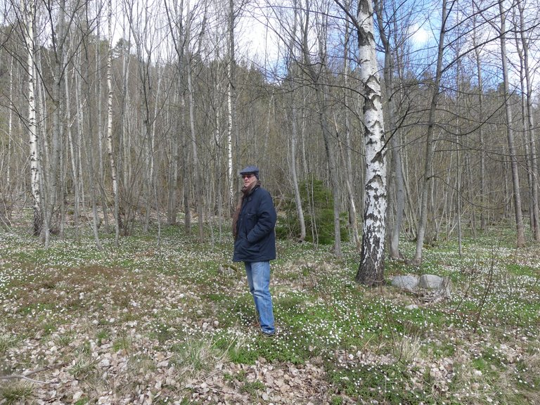 P1060049.JPG