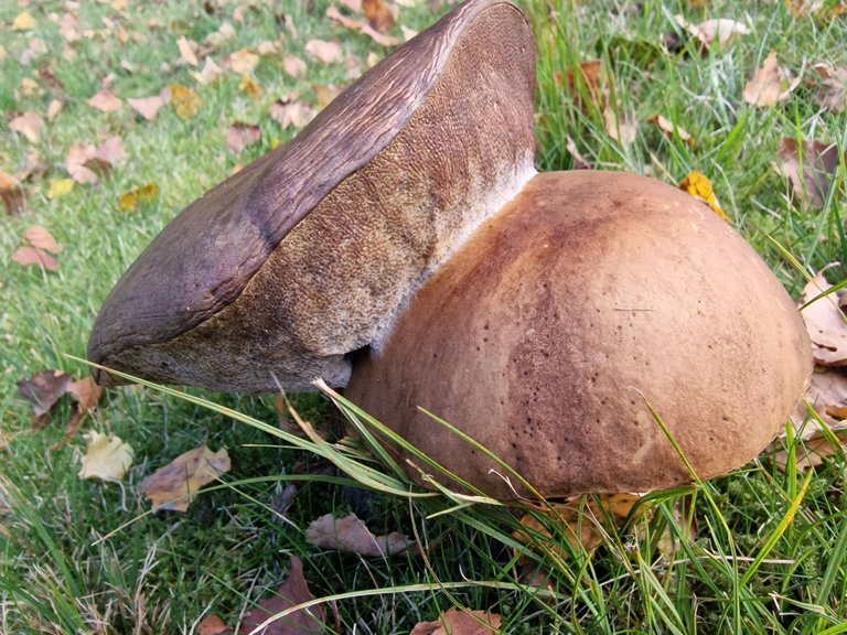 20220917_163642.jpg