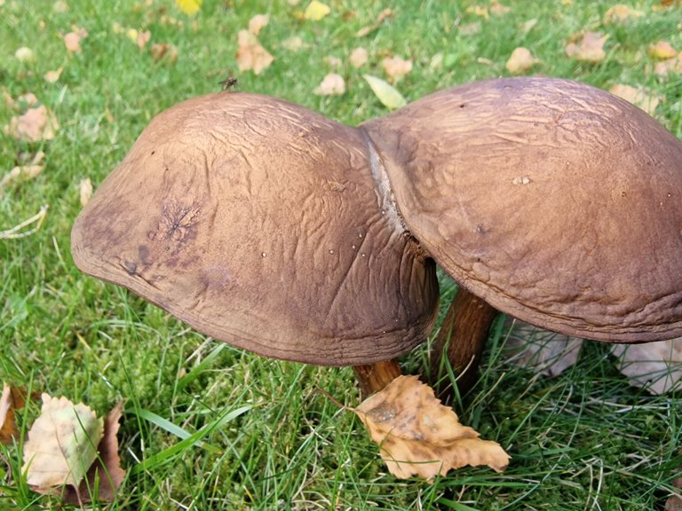 20220917_163720.jpg