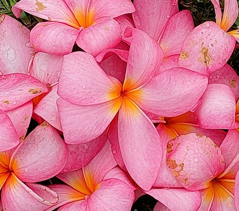 retouch_2025040907245726.jpg