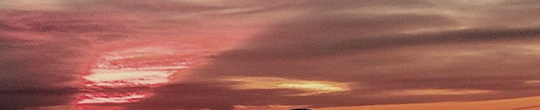 IMG_20250728_121745.jpg