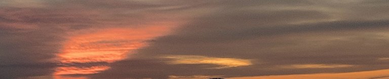 IMG_20250728_011921.jpg