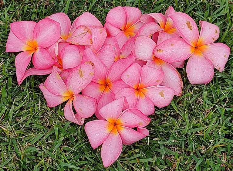 retouch_2025040907255910.jpg