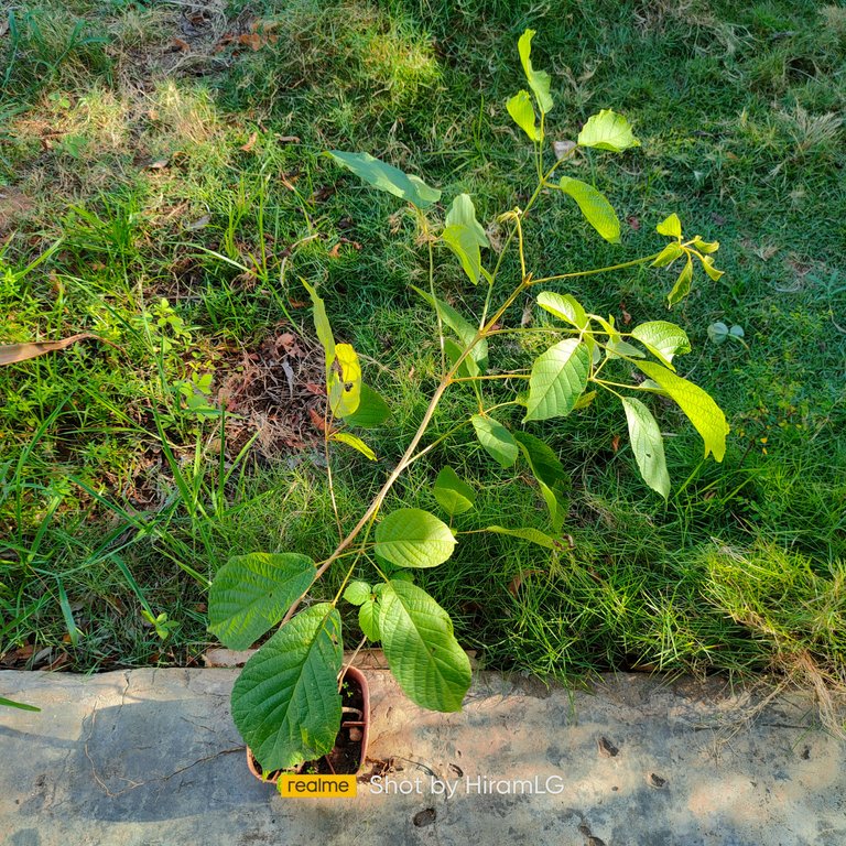 IMG20231109162529.jpg