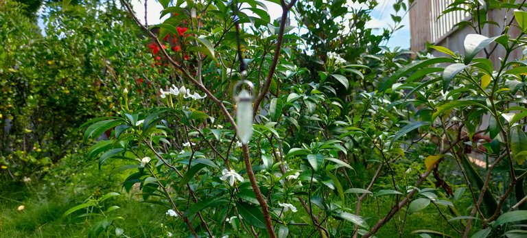 IMG20221201093454.jpg