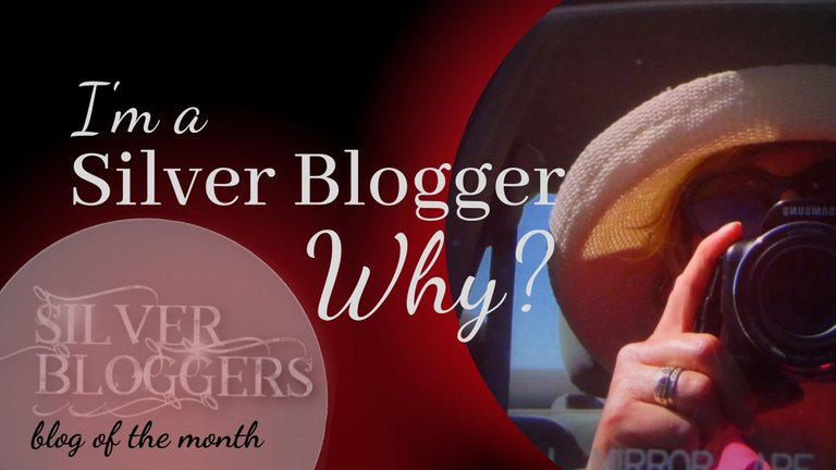 BoM - March - why Silverblogger.jpg