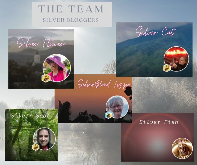 SBC team.jpg