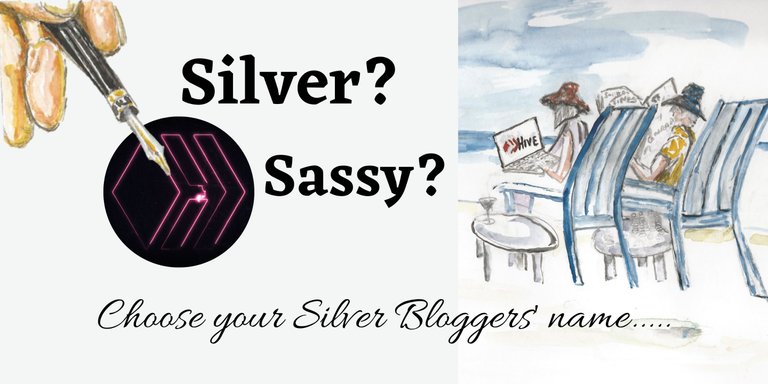 Sassy_Silver_Bloggers_name.jpg