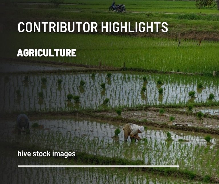 Stock-images-agriculture.jpg