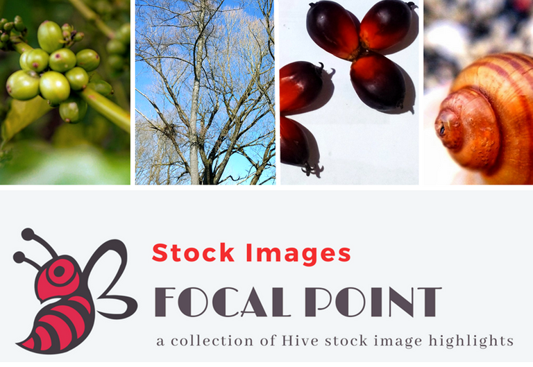 STOCKIMAGES.png