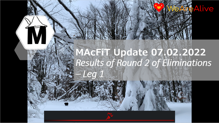 MAcFiT0702.png