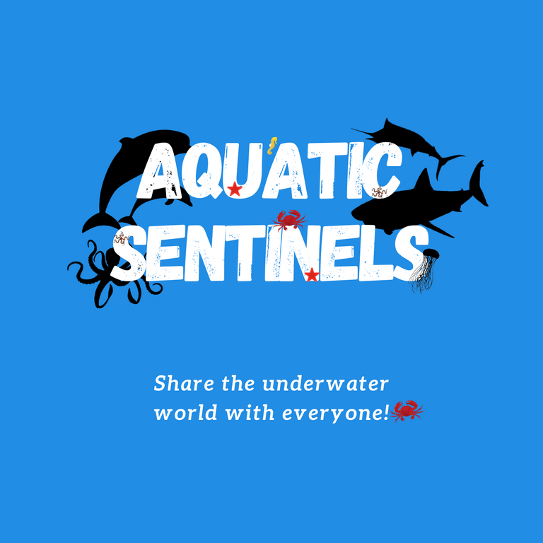 Aquatic Sentinels Logo1.png