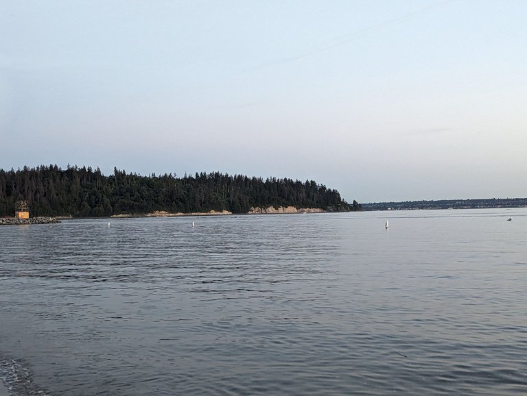 PXL_20230715_042758754.jpg