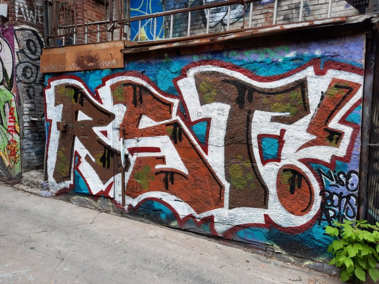 556 - Inconnu Graffiti Alley.jpg