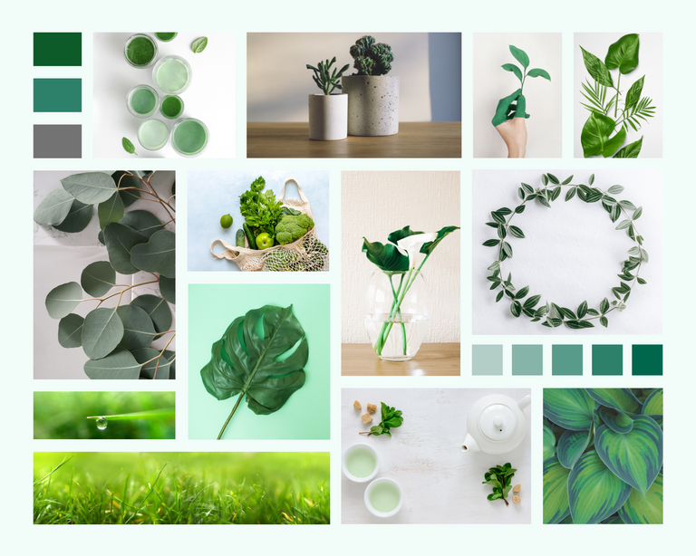 Green Health Wellness Mood Board Photo Collage.png