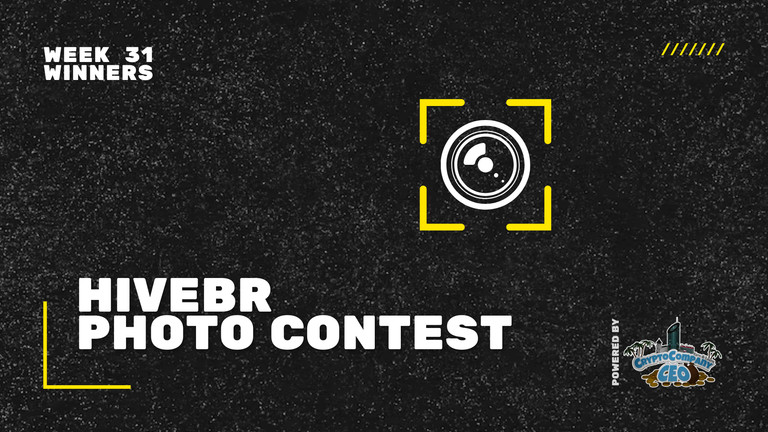 📸 HiveBR Photo Contest #31 Winners [EN/PT]