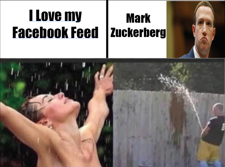 mark z.PNG