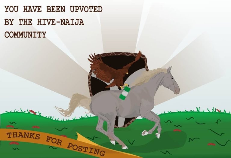 HiveNaija Banner.jpg