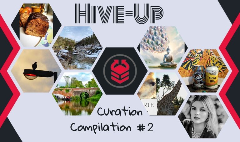 hive-up_2.jpg