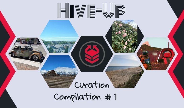 hive-up_1.jpg