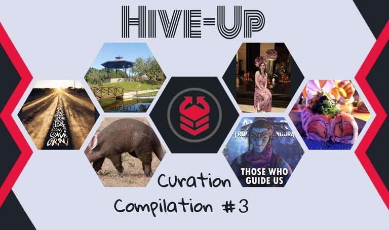 hive-up_3.jpg