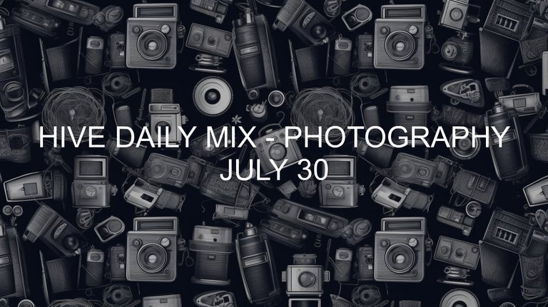 July 30