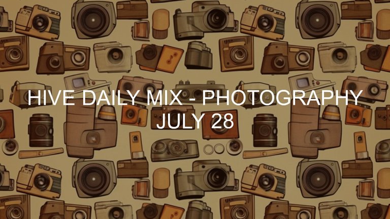 July 28