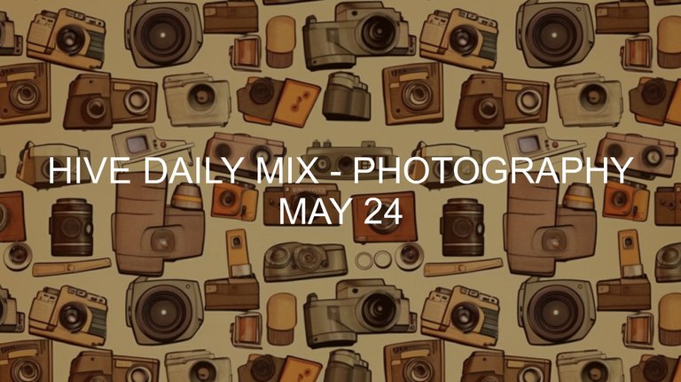 May 24