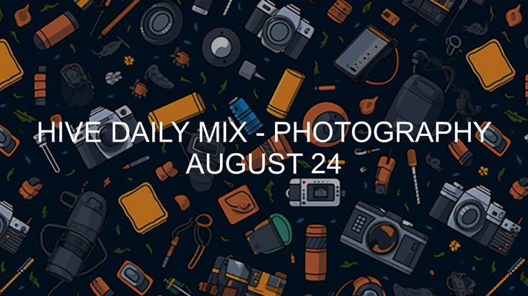August 24