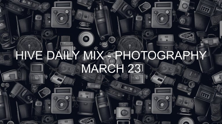 March 23