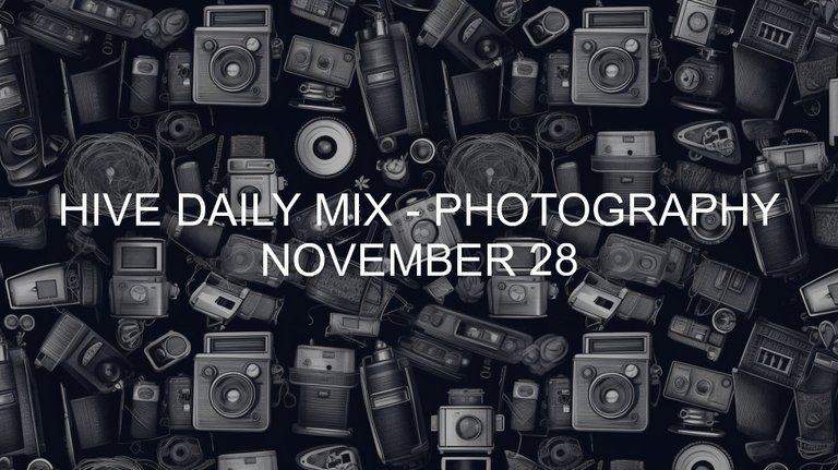 November 28
