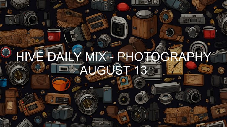 August 13