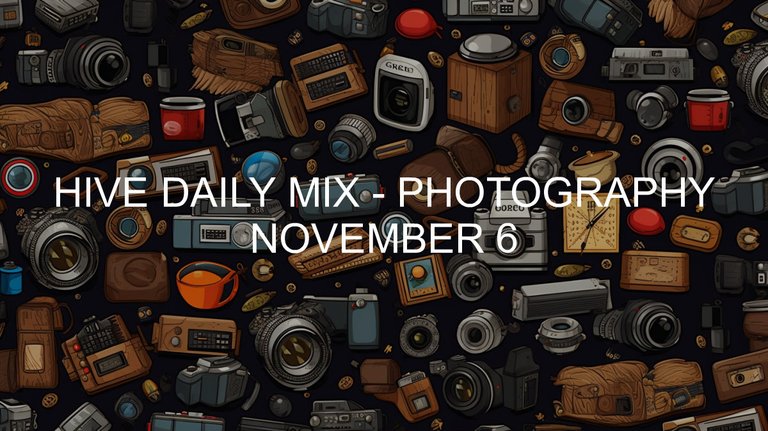 November 6