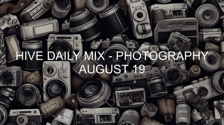August 19