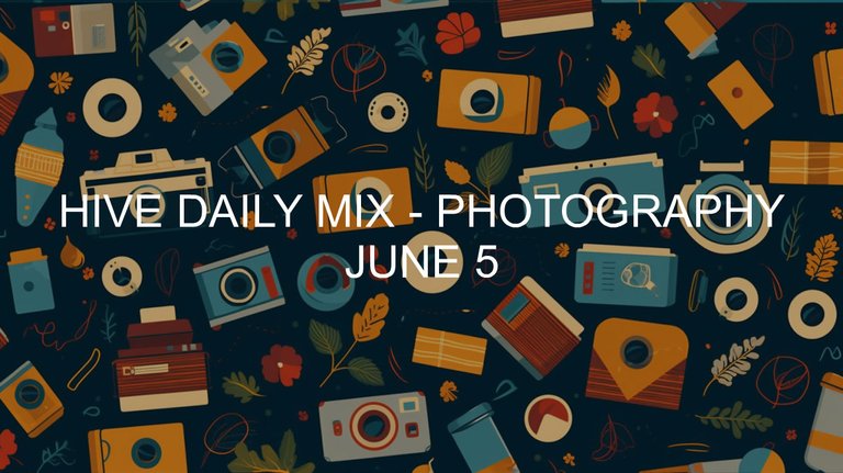 June 5