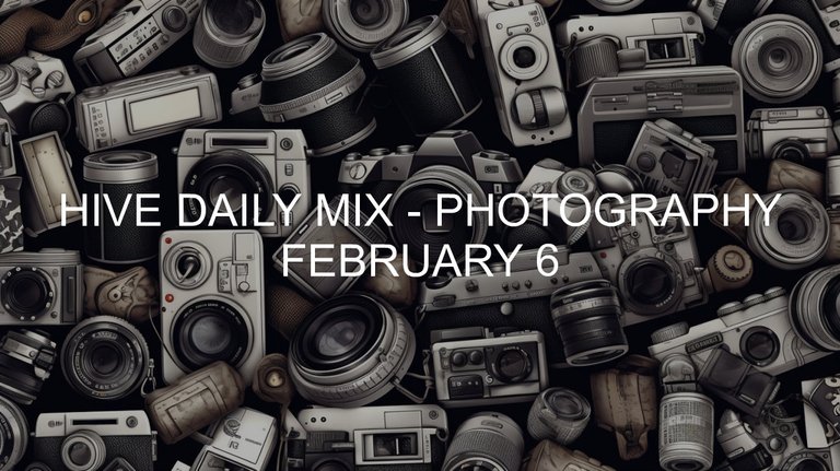 February 6