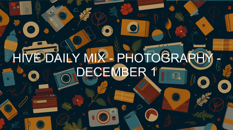 December 1