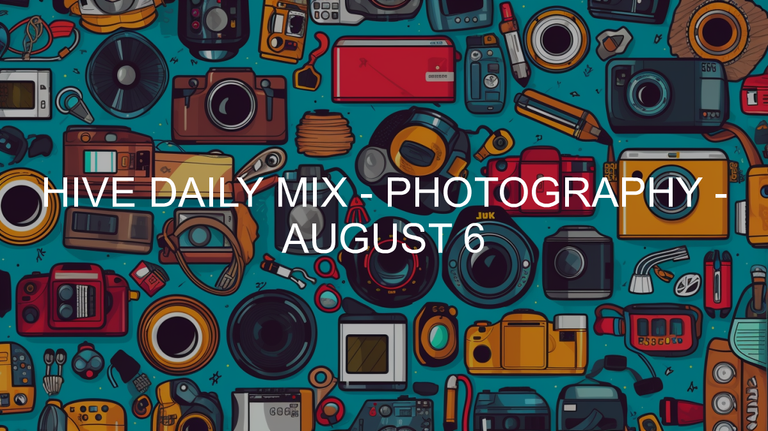 August 6