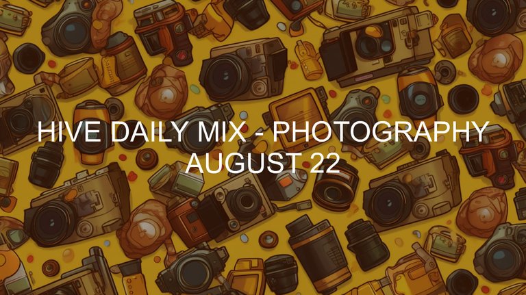 August 22