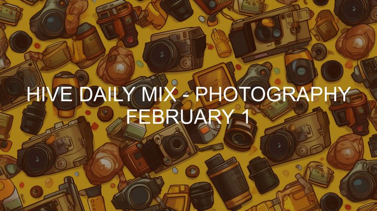 February 1